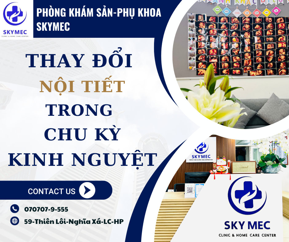 Các biến đổi nội tiết trong chu kỳ kinh nguyệt