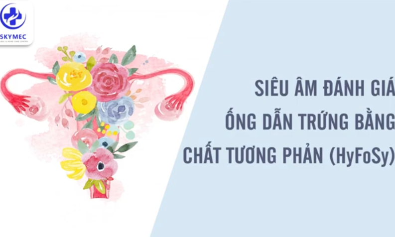 Giới thiệu về dịch vụ hỗ trợ sinh sản - Phòng khám sản phụ khoa SKYMEC